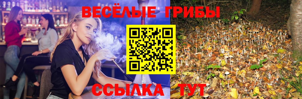Галлюциногенные грибы мухоморы Владикавказ