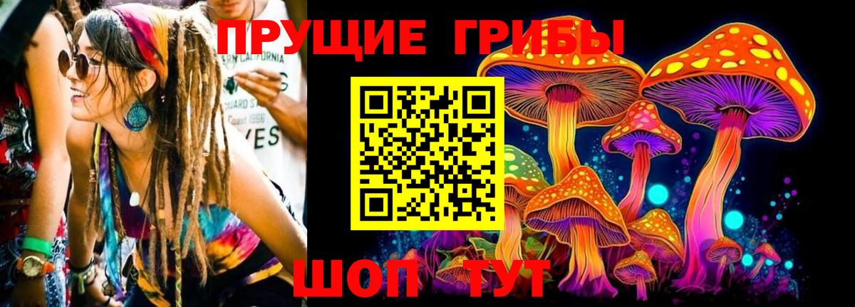 даркнет сайт  Псилоцибиновые грибы мицелий  Вход с VPN  Владикавказ 